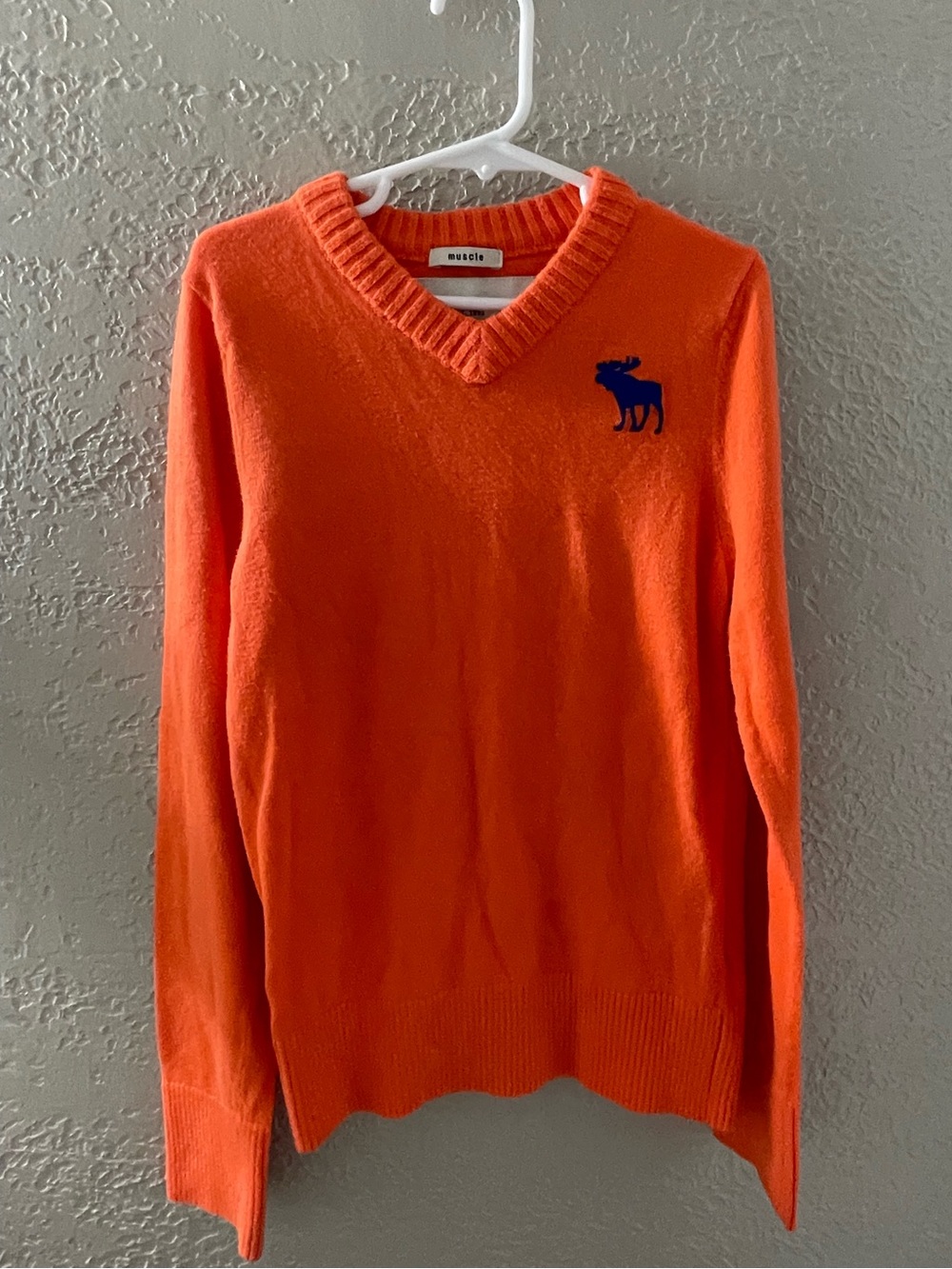 Abercrombie & Fitch Kids Orange V-Neck Sweater‎ with Navy Moose Logo